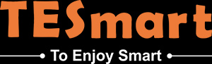 TESmart - Logo